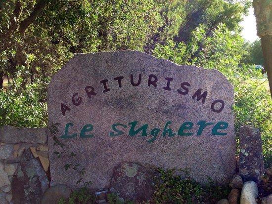Le Sughere Padru 外观 照片