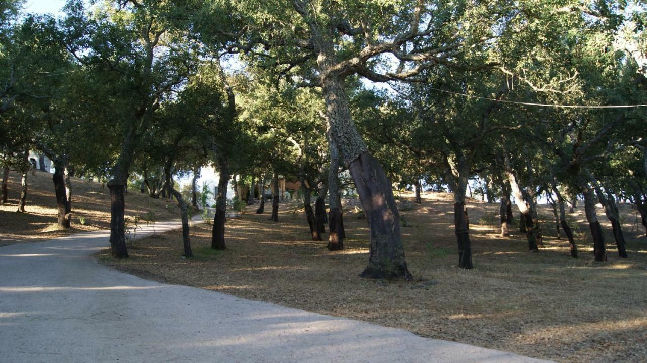 Le Sughere Padru 外观 照片