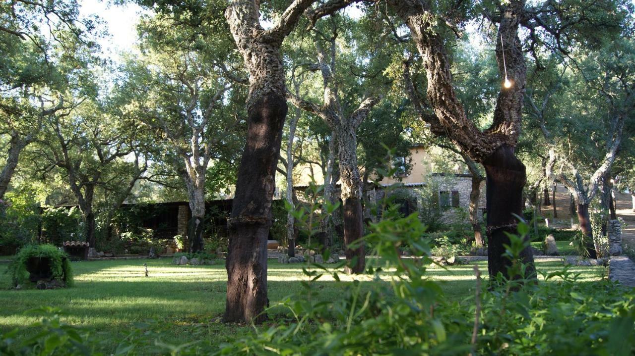 Le Sughere Padru 外观 照片